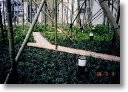 work-way decking59.jpg